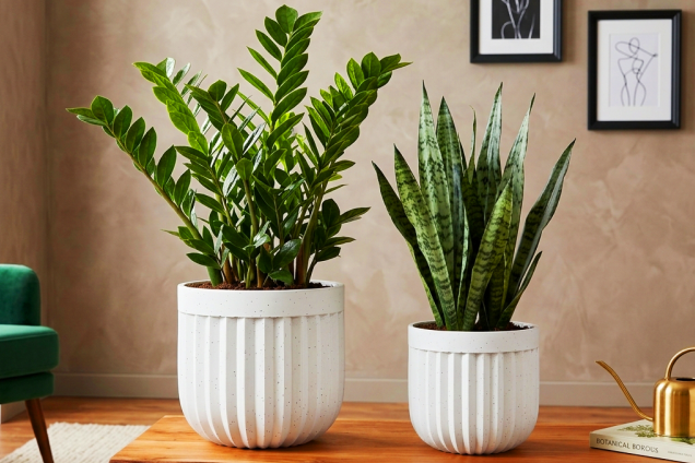 Ribbed Ceramic Planter Set of Two